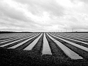 Perspective champêtre...